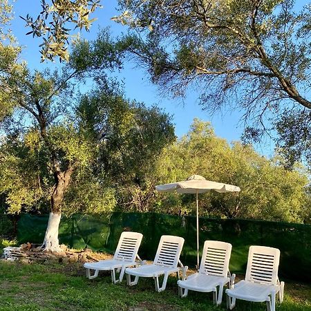 Endless Green: Feel Free And Cozy In Nature Perivólion Buitenkant foto