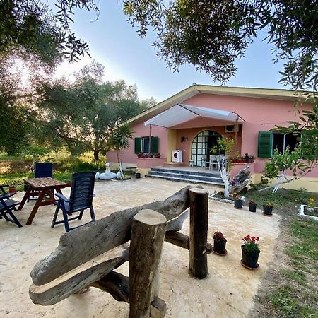 Endless Green: Feel Free And Cozy In Nature Perivólion Buitenkant foto