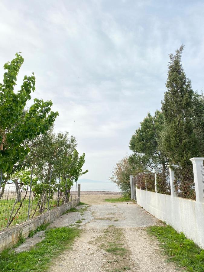 Endless Green: Feel Free And Cozy In Nature Perivólion Buitenkant foto