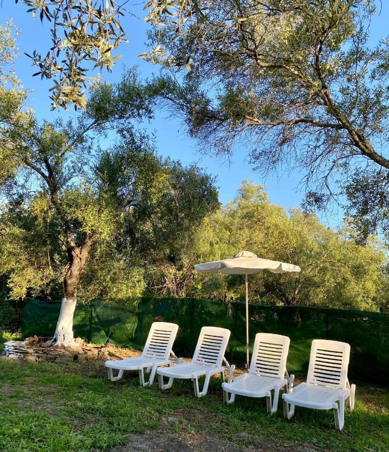 Endless Green: Feel Free And Cozy In Nature Perivólion Buitenkant foto