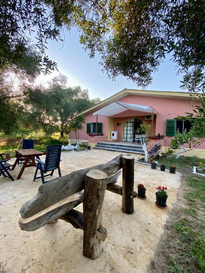 Endless Green: Feel Free And Cozy In Nature Perivólion Buitenkant foto